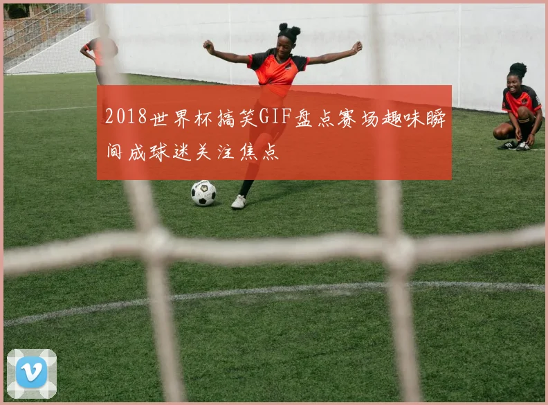 2018世界杯搞笑GIF盘点赛场趣味瞬间成球迷关注焦点
